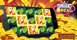 Live casino overview on 555ww apk for Bangladesh mobile users